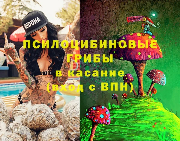 винт Абинск